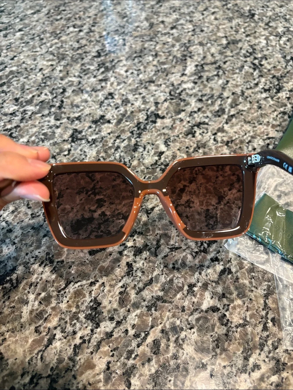 Longchamp nwt oversized
